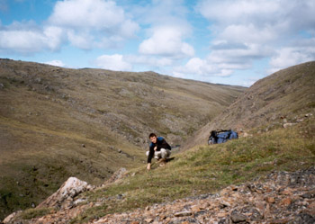 that's me on the tundra: Baffin Island