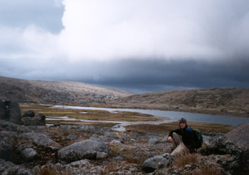 me, way back in bear country all alone