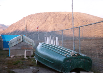 sealskins dry on a fence in Pangnirtung