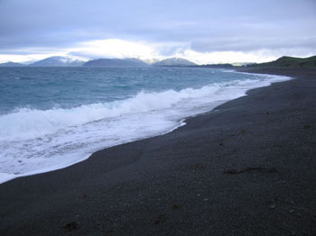 black pebble beach, kaikoura peninsula, new zealand