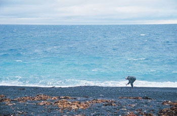 me on black pebble beach, kaikoura peninsula, new zealand