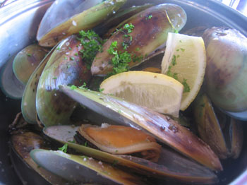 fresh steamed green mussles, kaikoura, new zealand