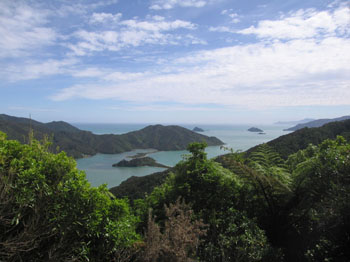 overlook at Marlborough Sound, South Island, New Zealand