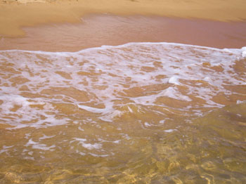 orange sand, Abel Tasman, New Zealand