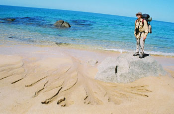 me at Anapai Bay beach, Abel Tasman, New Zealand