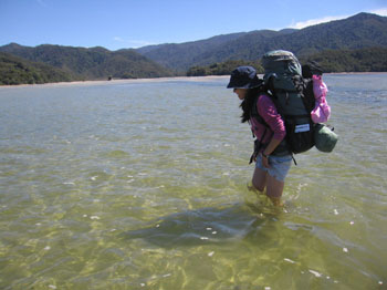 Awaroa tidal estuary crossing, Abel Tasman, New Zealand