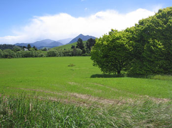 Motueka Valley, South Island, New Zealand