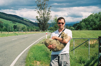 me returnign a lamb to its pen, Moutueka Valley, New Zealand