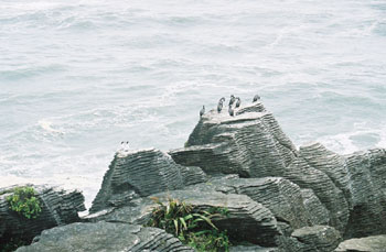 Pancake Rocks formation, South Island, New Zealand