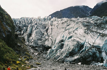 Fox Glacier, New Zealand