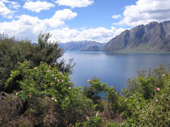 Lake Hawea, New Zealand