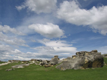 elephant shaped rocks near Kurow, New Zealand