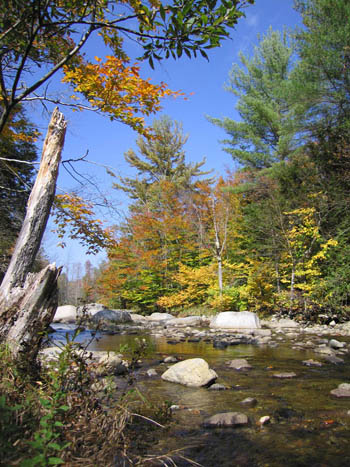 October leaves near Keene Valley, New York