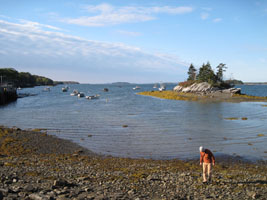 beachcombing at low tide, by joy