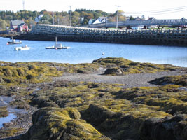 cribstone bridge, Harpswell, Maine