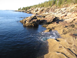 Acadia coast at Blackwoods Camp