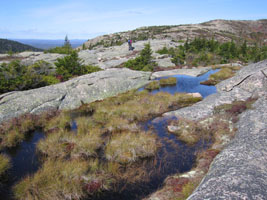 Cadillac Mtn, Acadia