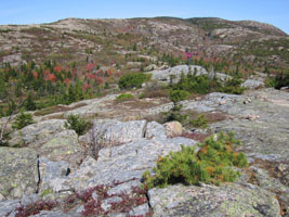 Cadillac Mtn, Acadia