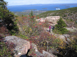 hiking in Acadia; Bar Harbor with cruise ship beyond
