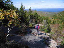 hiking in Acadia