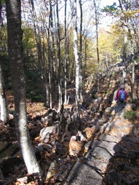 hiking in Acadia