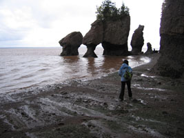 Fundy tide going out at Harpswell Rocks, New Brunswick