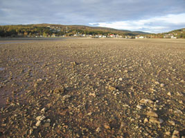 village of Alma at low tide