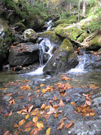 hiking at Fundy National Park