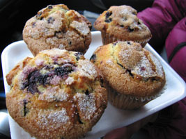 fresh blueberry muffins from a road stand in New Brunswick