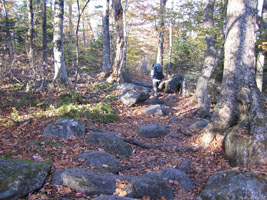 hiking in the White Mtns, New Hampshire