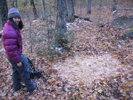 tent footprint in the leaves