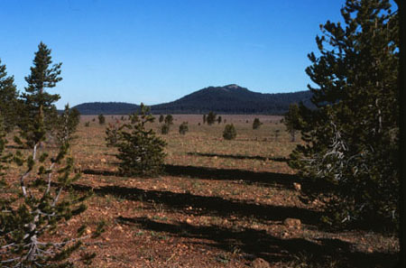 Pumice Desert