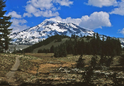 Trail by South Sister