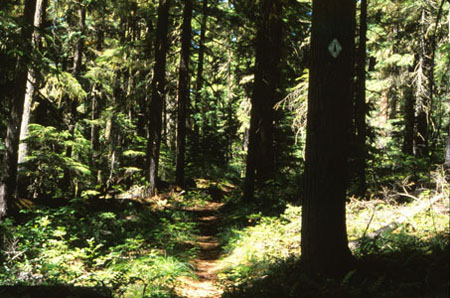 Trail between the peaks