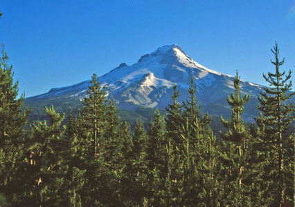 Mt Hood