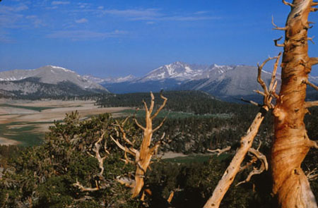 High country, Siberian Outpost