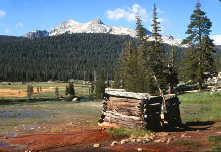 Soda spring in Tuolume Meadows title=