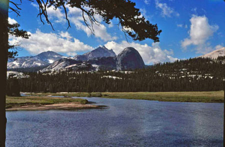 Yosemite River