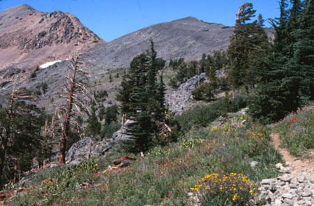 Desolation Wilderness