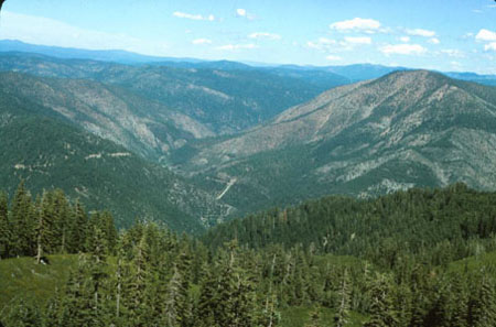 North Fork River