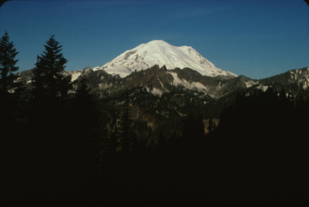 Mt Rainier