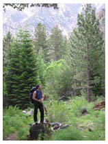 sean on a fallen log