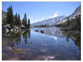 reflections, pine lake