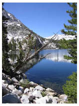 reflections, pine lake