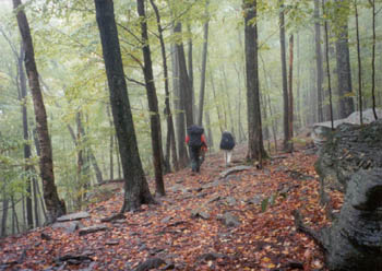 Catskills hiking