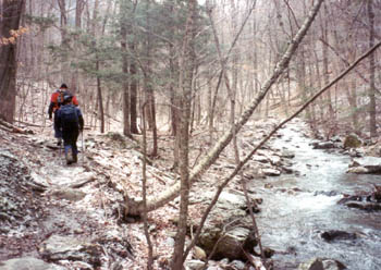 hiking Mt. Greylock