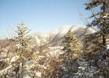 looking at Giant Mtn from Round Mtn