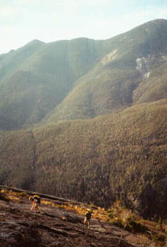 climbing Trap Dike, Mt. Colden