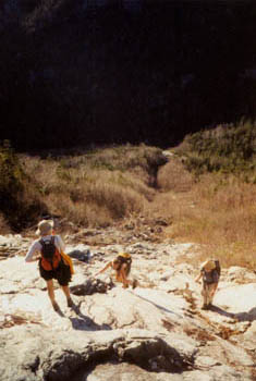 climbing Nippletop Slide, Adirondacks