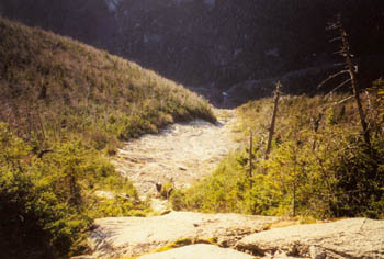 climbing Nippletop Slide, Adirondacks